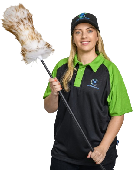 Professional cleaning services in Mascot showcasing our expertise and quality